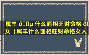 属羊 🐵 什么面相旺财命格 🐕 女（属羊什么面相旺财命格女人）